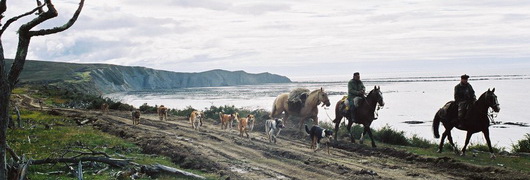 Gaucho de Terre de Feu